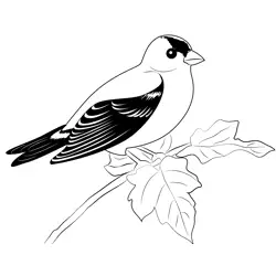 Critterwalls Goldfinch Free Coloring Page for Kids