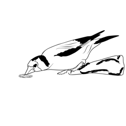 Goldfinch 2 Free Coloring Page for Kids