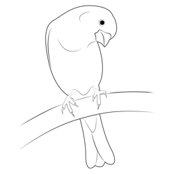 Head Turning Bird Free Coloring Page for Kids
