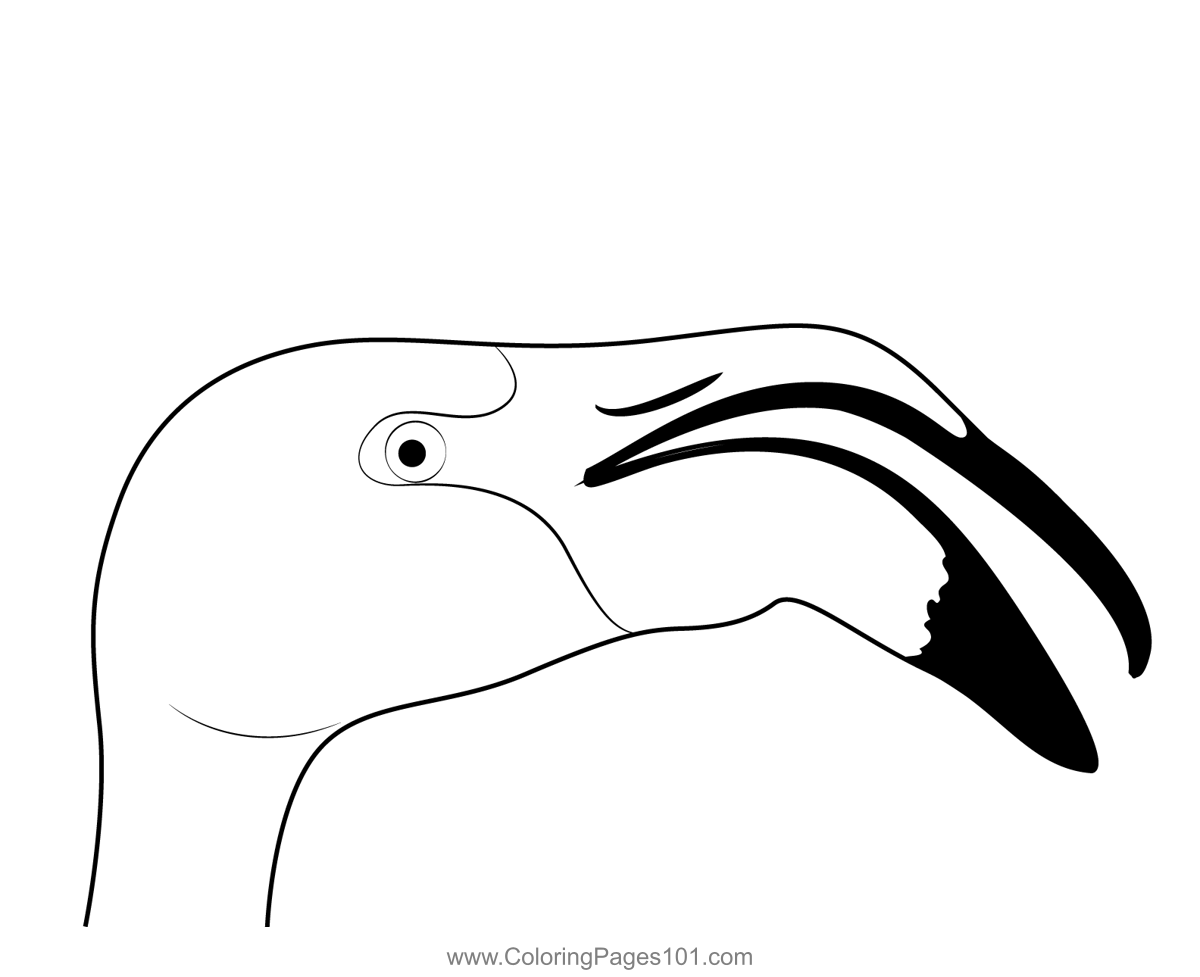 A Flamingo With Its Beak Open