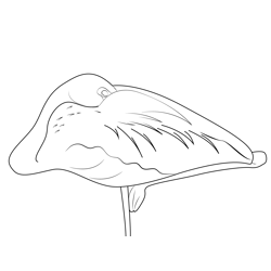 A Sleeping Flamingo Bird Free Coloring Page for Kids