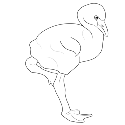 Baby Flamingo Free Coloring Page for Kids