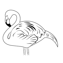 Beautiful Flamingo Free Coloring Page for Kids