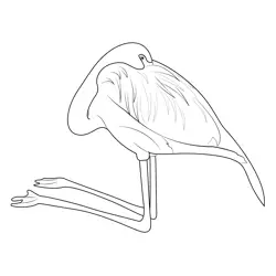 Beautiful Red Flamingo Bird Free Coloring Page for Kids