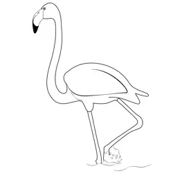 Flamingo 1 Free Coloring Page for Kids