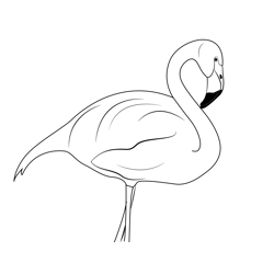 Flamingo Bird 1 Free Coloring Page for Kids