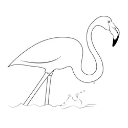 Flamingo Bird 2 Free Coloring Page for Kids