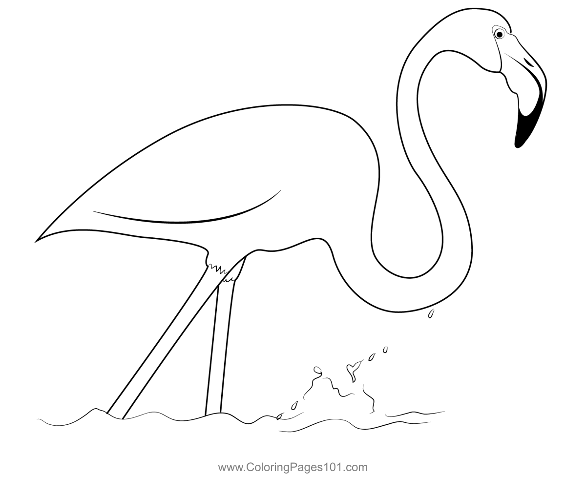 Flamingo Bird 2