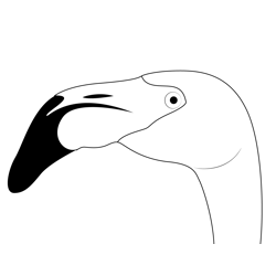 Flamingo Bird Face Free Coloring Page for Kids