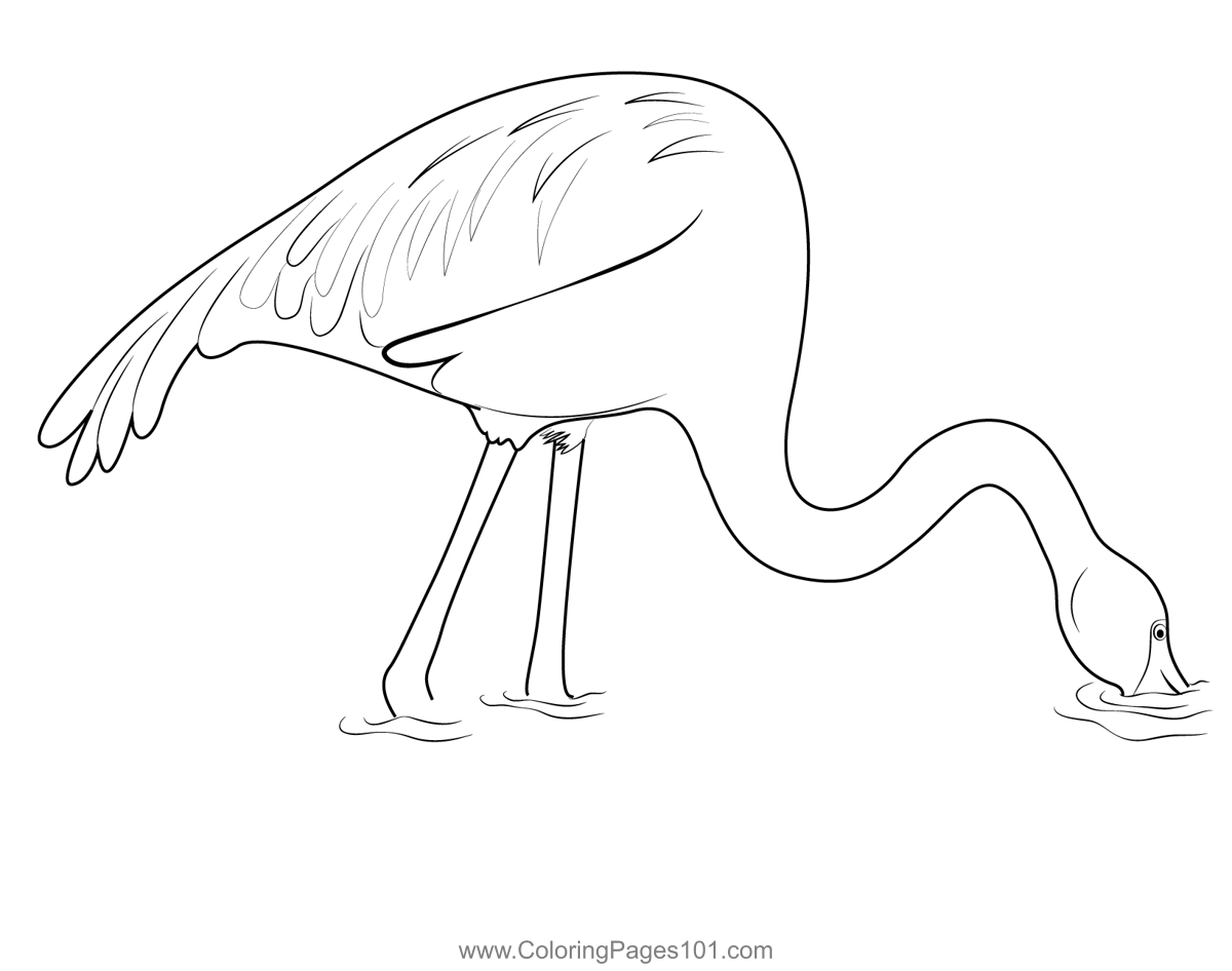 Flamingo Bird In The Water Coloring Page for Kids - Free Flamingos