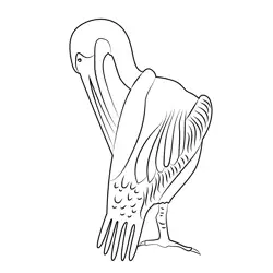 Flamingo Bird Scratch Himself Free Coloring Page for Kids