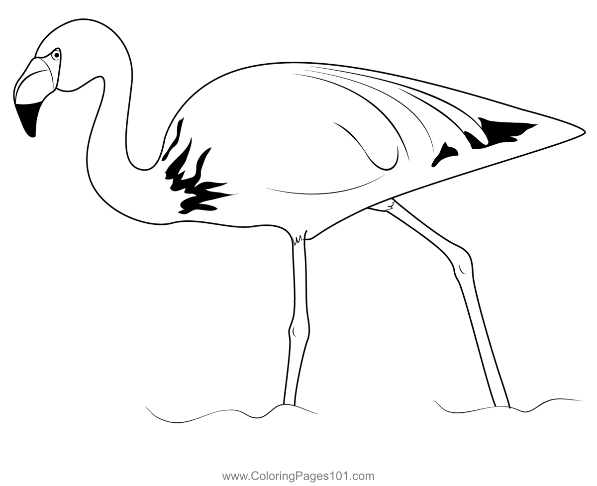 Flamingo Bird Coloring Page for Kids - Free Flamingos Printable