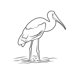 Flamingo In Water Free Coloring Page for Kids