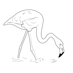 Flamingo Lovely Bird Free Coloring Page for Kids