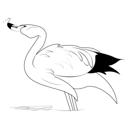Flamingo Taking A Bath Free Coloring Page for Kids