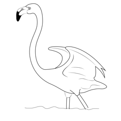 Flamingo Wing Fly Free Coloring Page for Kids