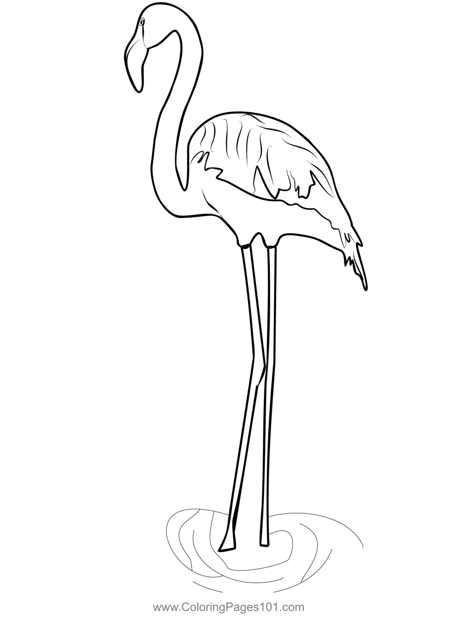 Flamingos 1 Coloring Page for Kids - Free Flamingos Printable Coloring