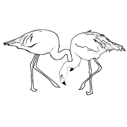 Flamingos 2 Free Coloring Page for Kids