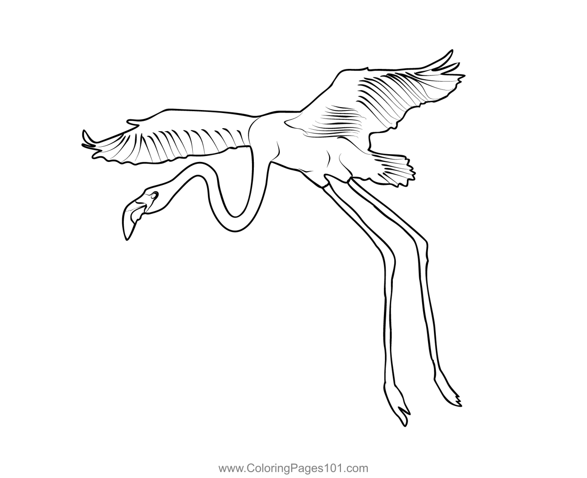 Flamingos 5 Coloring Page for Kids - Free Flamingos Printable Coloring Pages Online for Kids