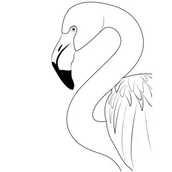 Pink Flamingo Birds Head Free Coloring Page for Kids