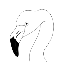Pink Flamingo Head Free Coloring Page for Kids