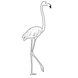 Pink Flamingo Standing Free Coloring Page for Kids