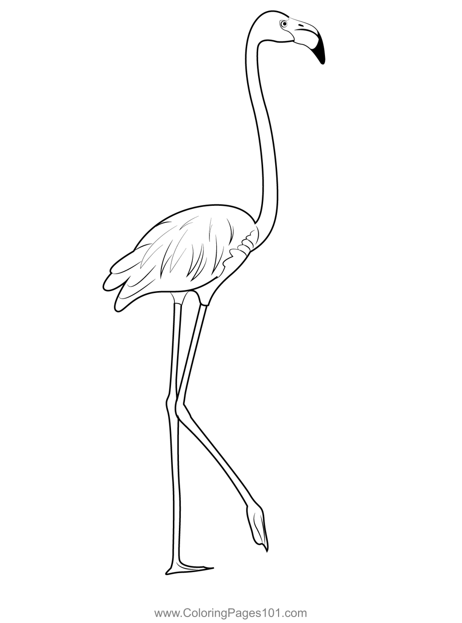 Pink Flamingo Standing Coloring Page for Kids Free Flamingos