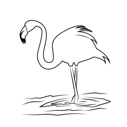 Standing Flamingo Free Coloring Page for Kids