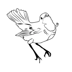 Bluethroat 1 Free Coloring Page for Kids