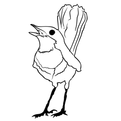 Bluethroat 2 Free Coloring Page for Kids