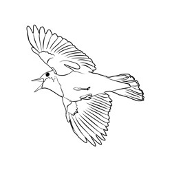 Bluethroat 3 Free Coloring Page for Kids