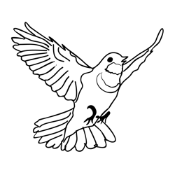Bluethroat 4 Free Coloring Page for Kids