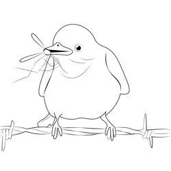 Scissor Tailed Flycatcher Eating Free Coloring Page for Kids