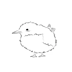 Arctic Tern 18 Free Coloring Page for Kids