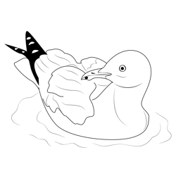 California Gull Sea Free Coloring Page for Kids