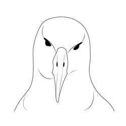 California Seagull Face Free Coloring Page for Kids