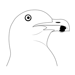 California Seagull Free Coloring Page for Kids