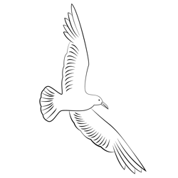 Flying Seagull Free Coloring Page for Kids