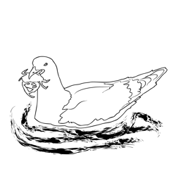 Great Black backed Gull 3 Free Coloring Page for Kids