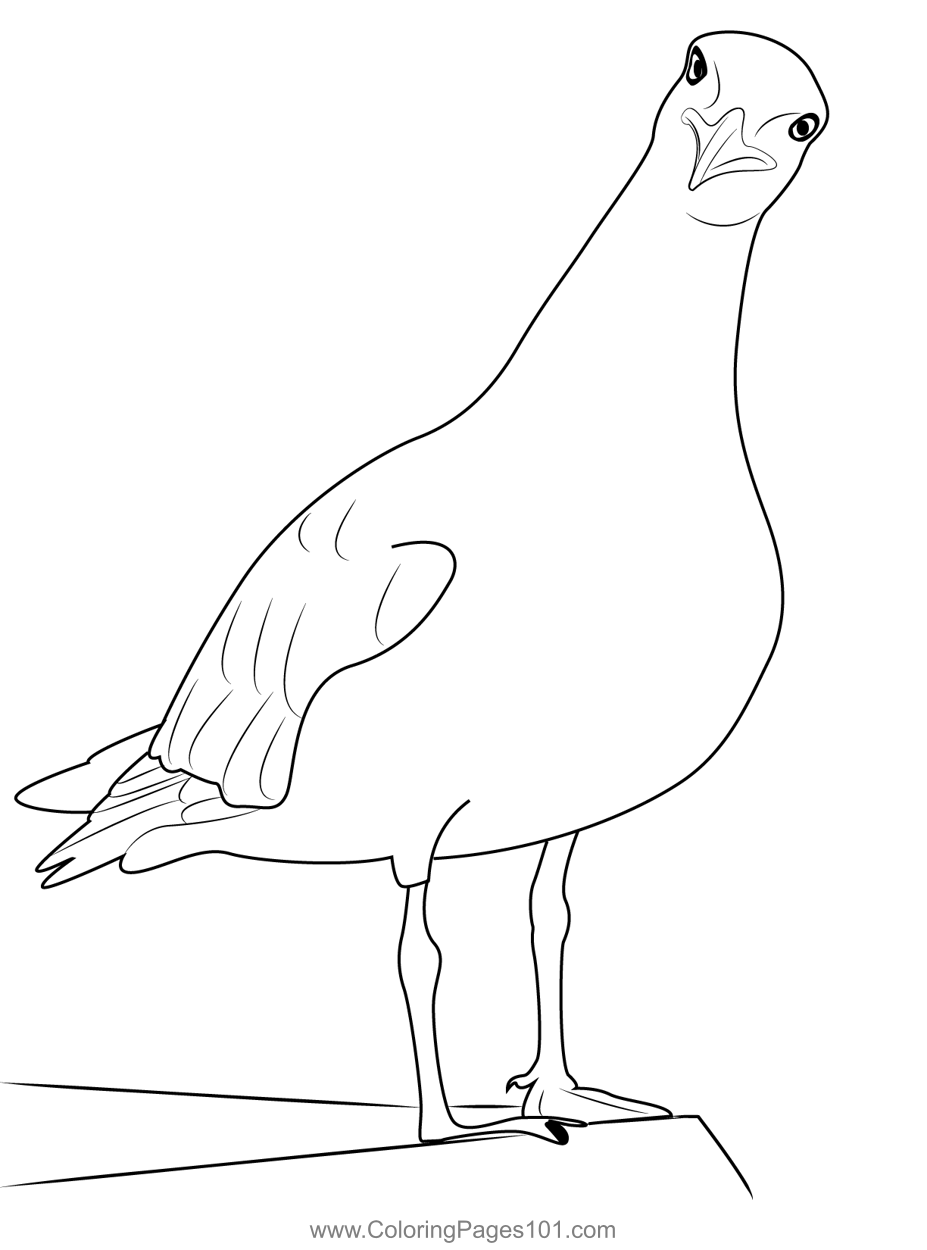 Sea Gull Funny Coloring Page for Kids - Free Gulls Printable Coloring