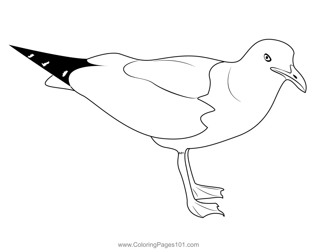 Sea Gull Coloring Page for Kids Free Gulls Printable Coloring Pages Sea Gull Coloring Page for Kids Free Gulls Printable Coloring Pages