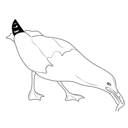 Seagull Birds Free Coloring Page for Kids