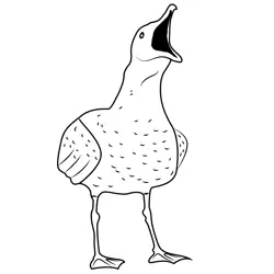 Seagull Calling Free Coloring Page for Kids