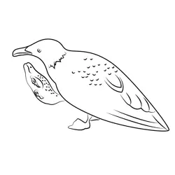Seagull Eating Fish Free Coloring Page for Kids