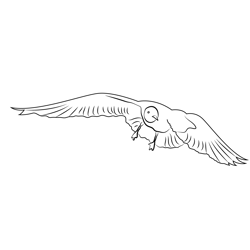 Taking Off Seagull Free Coloring Page for Kids