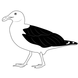 West Side California Seagull Free Coloring Page for Kids