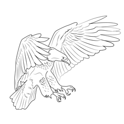 American Bald Eagle Habitat Free Coloring Page for Kids