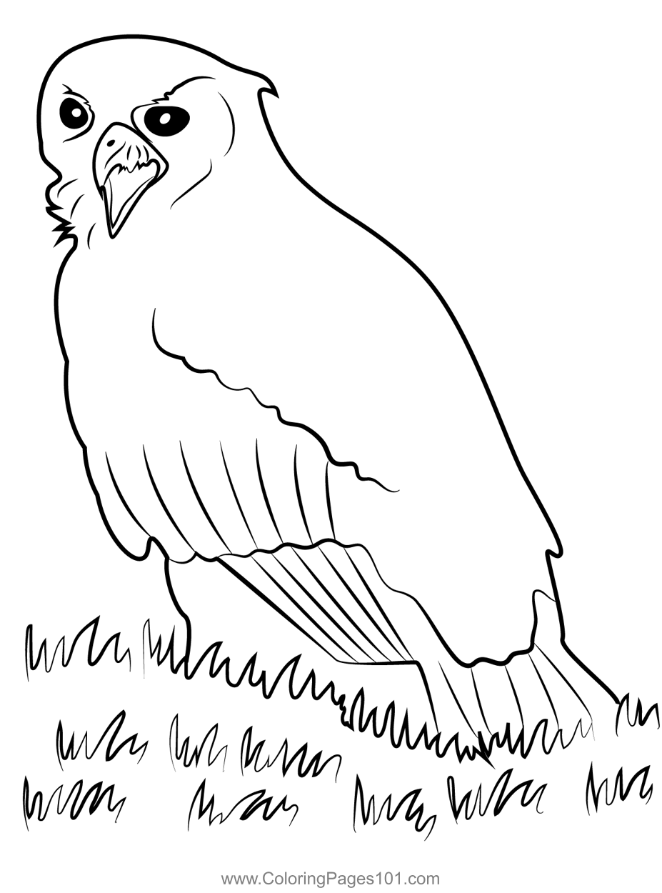Angry Eagle Owl Coloring Page for Kids - Free Hawks and Eagles Printable Coloring Pages Online ...