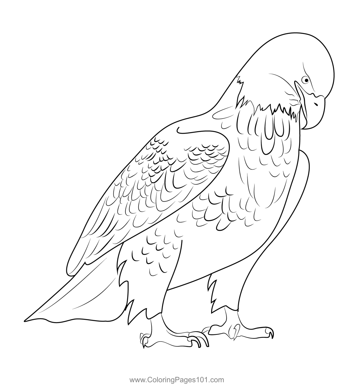 Bald Eagle 3 Coloring Page for Kids - Free Hawks and Eagles Printable ...