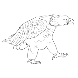 Bald Eagle Free Coloring Page for Kids